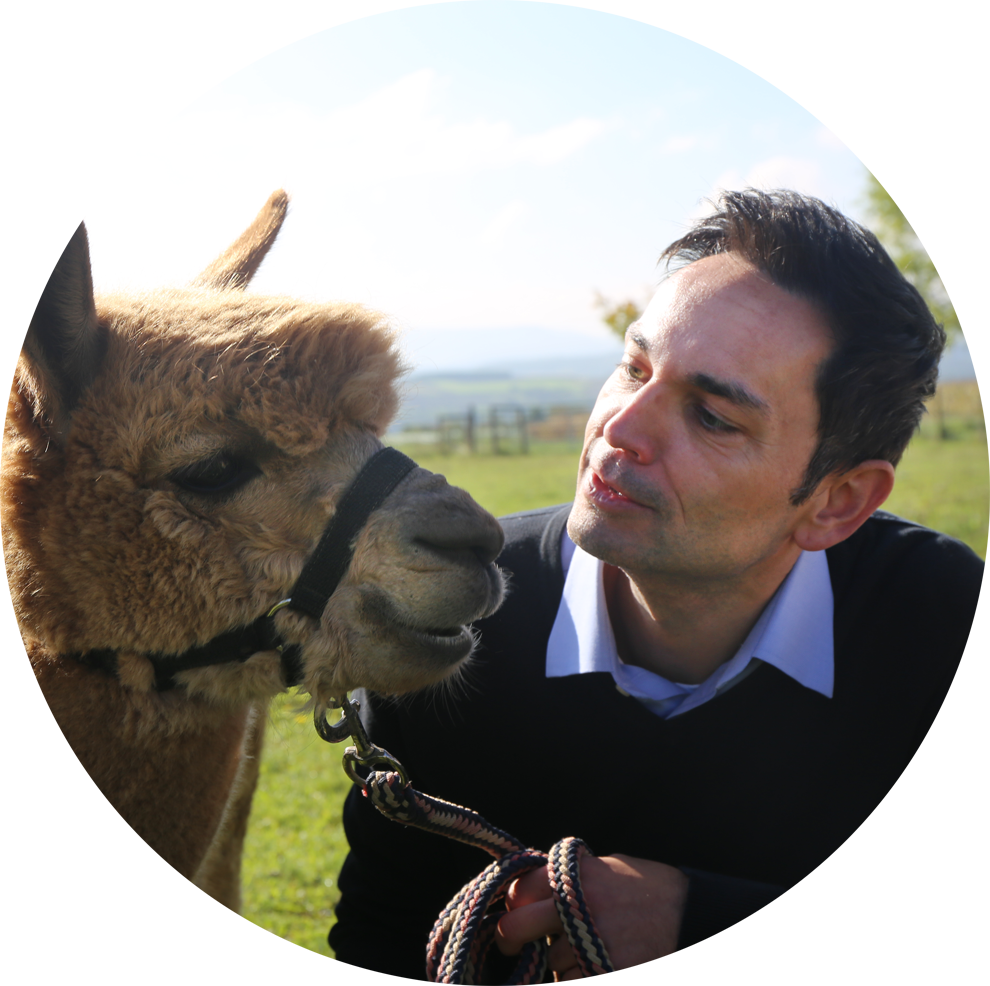 René Süßer mit Alpaka auf der Weide, Alpakafarm Schaber in Nürtingen bei Stuttgart
